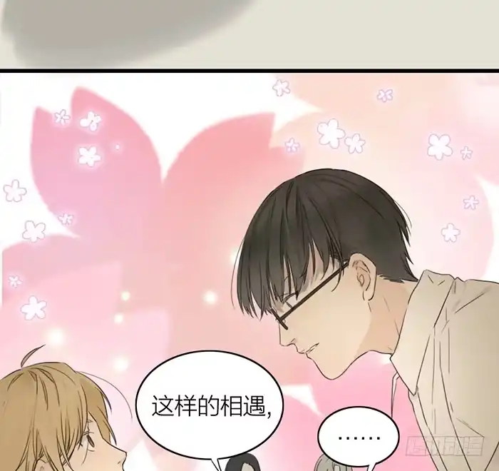 第229页