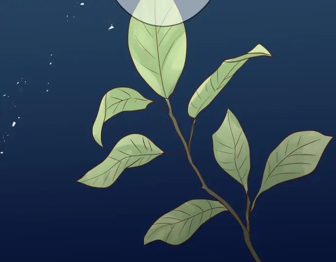 第74页