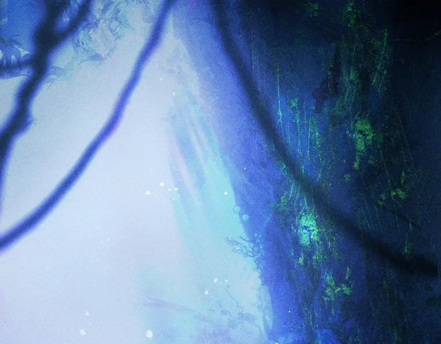 第47页