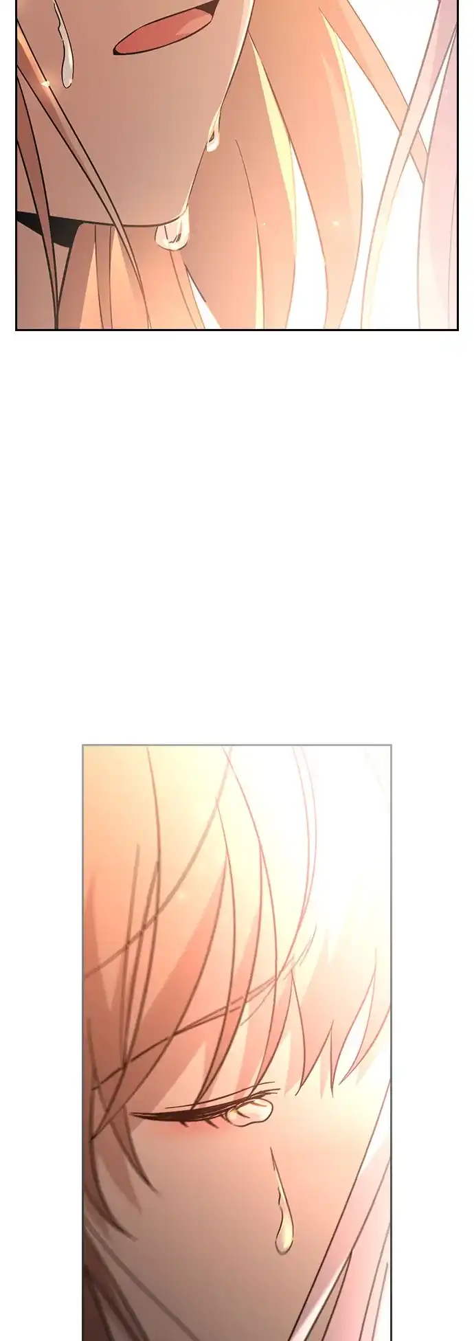第355页