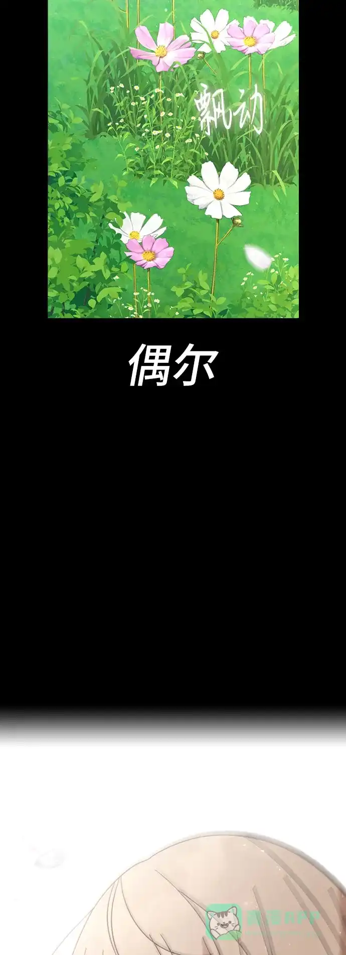 第224页
