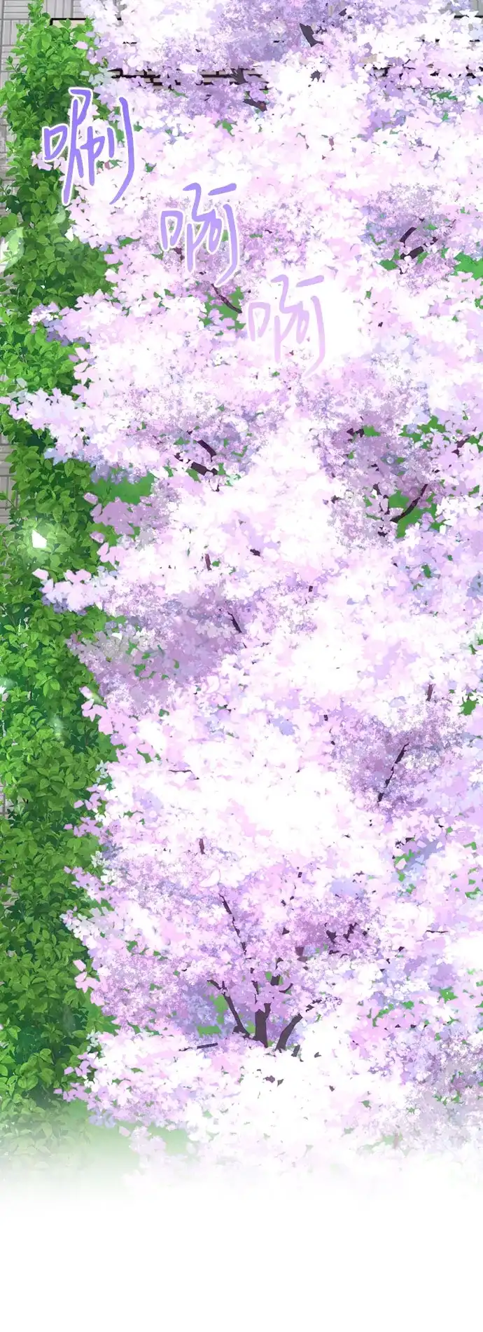 第428页