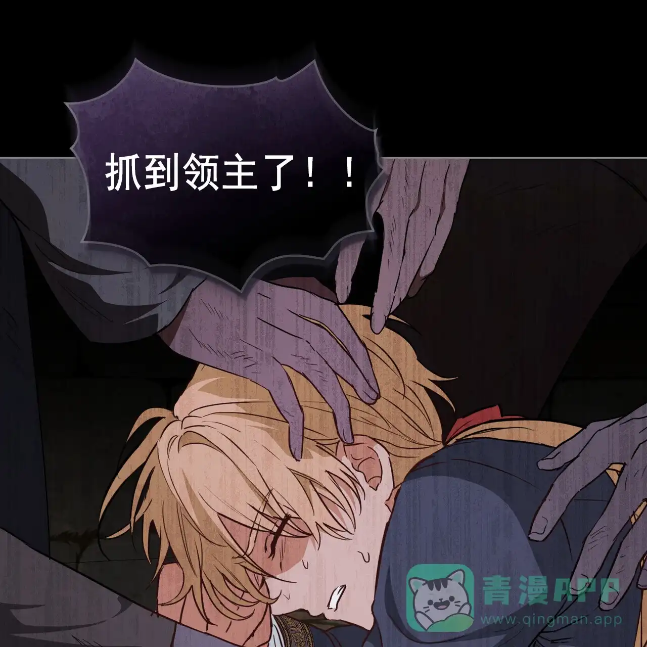 第81页