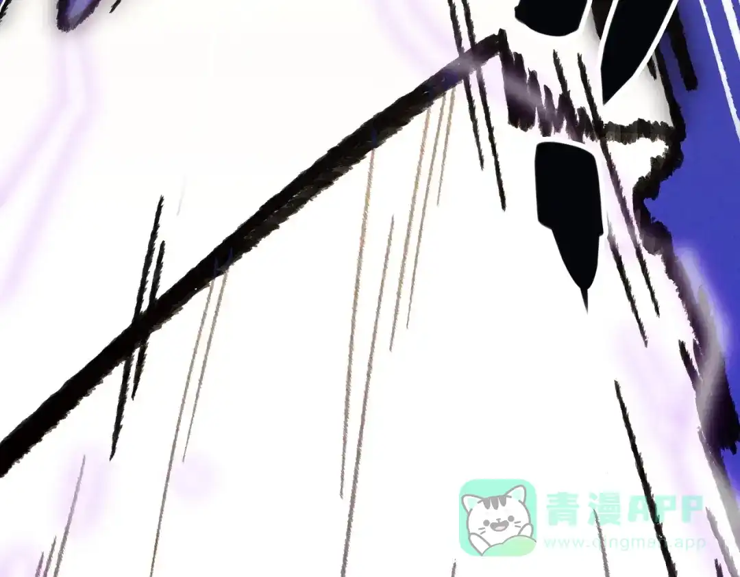 第241页