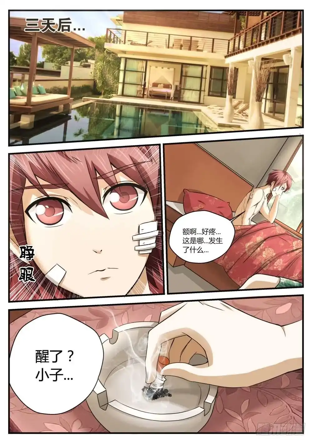 第5页