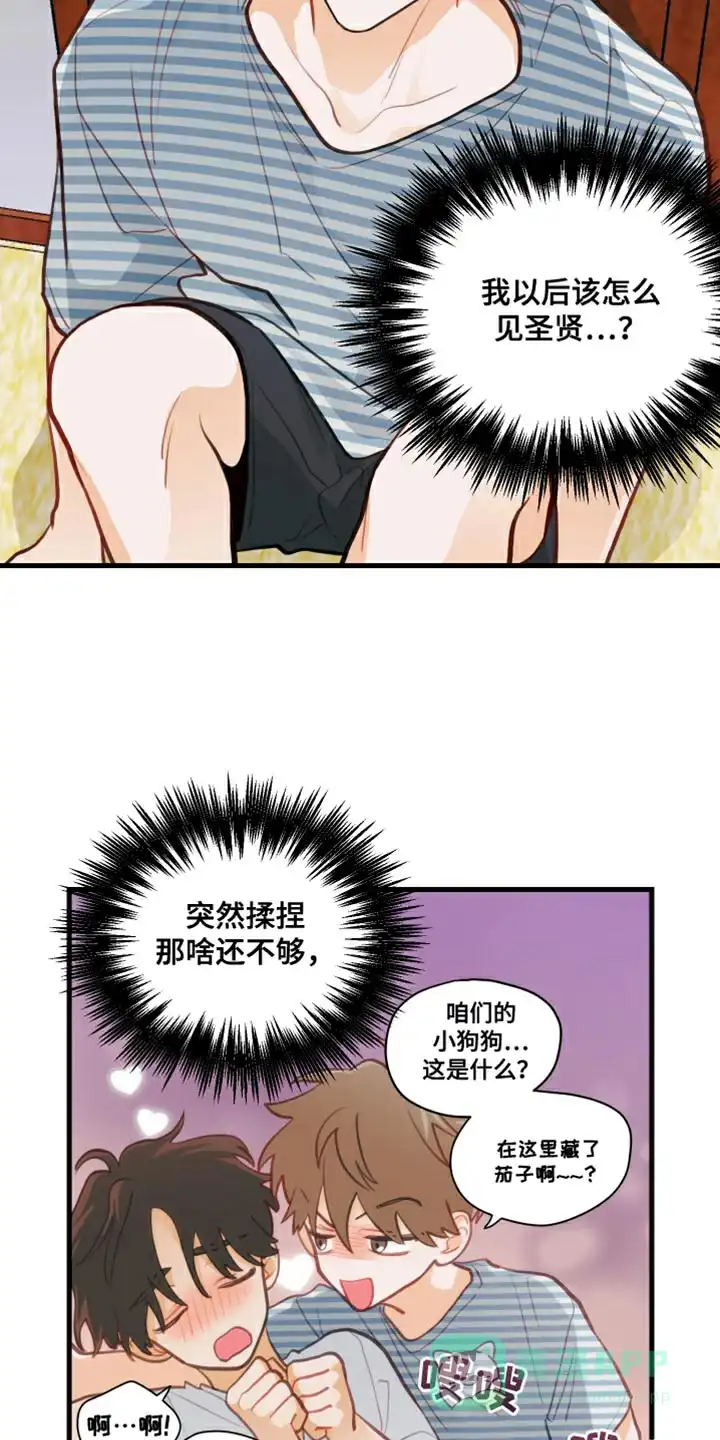 第16页