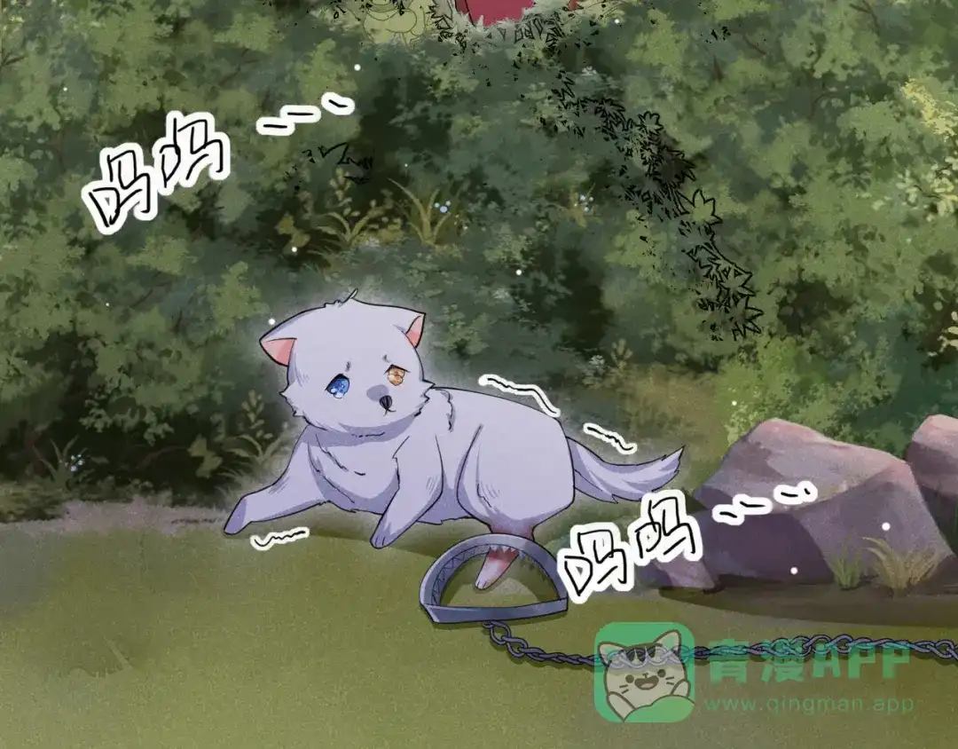 第101页
