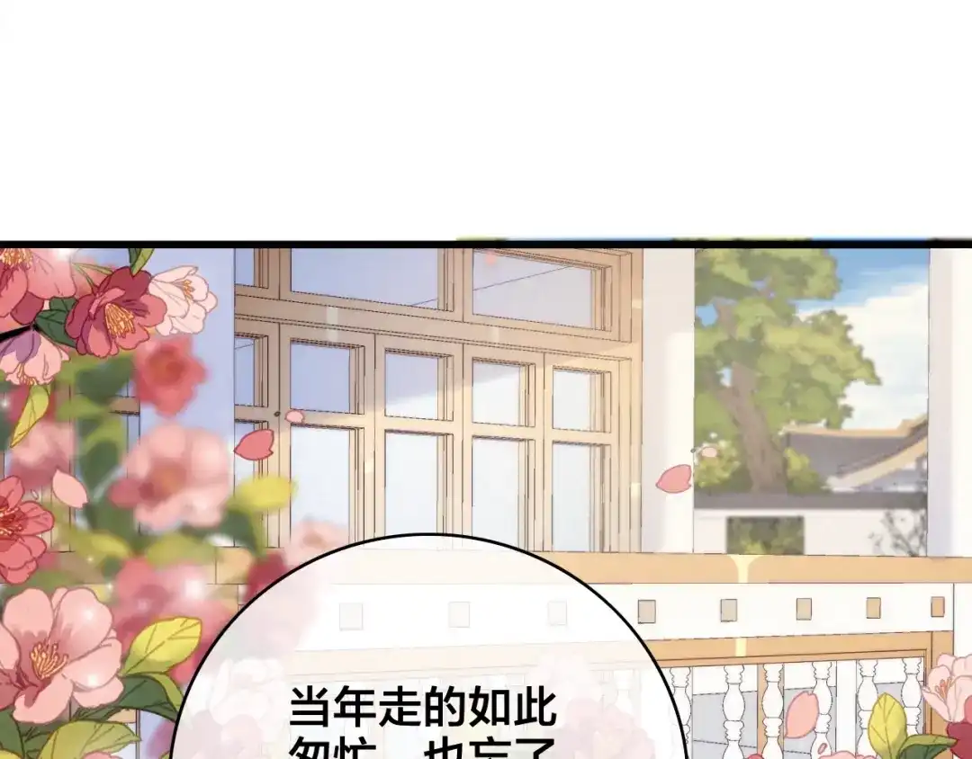 第233页