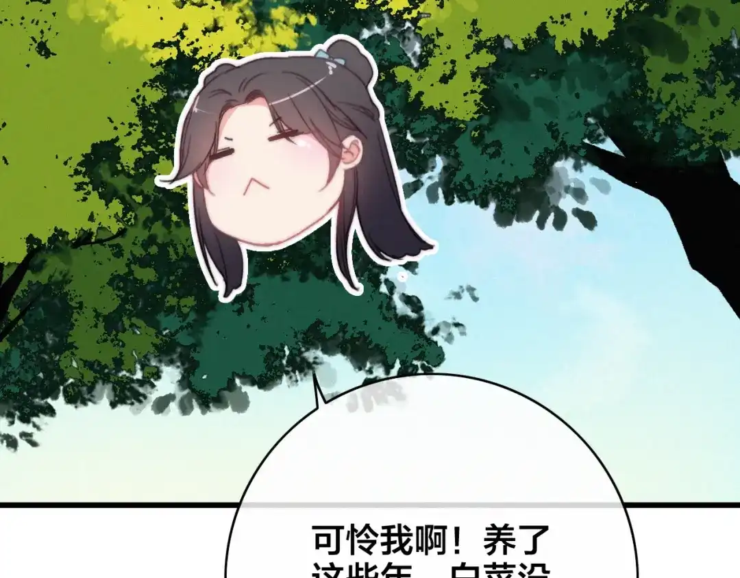 第266页