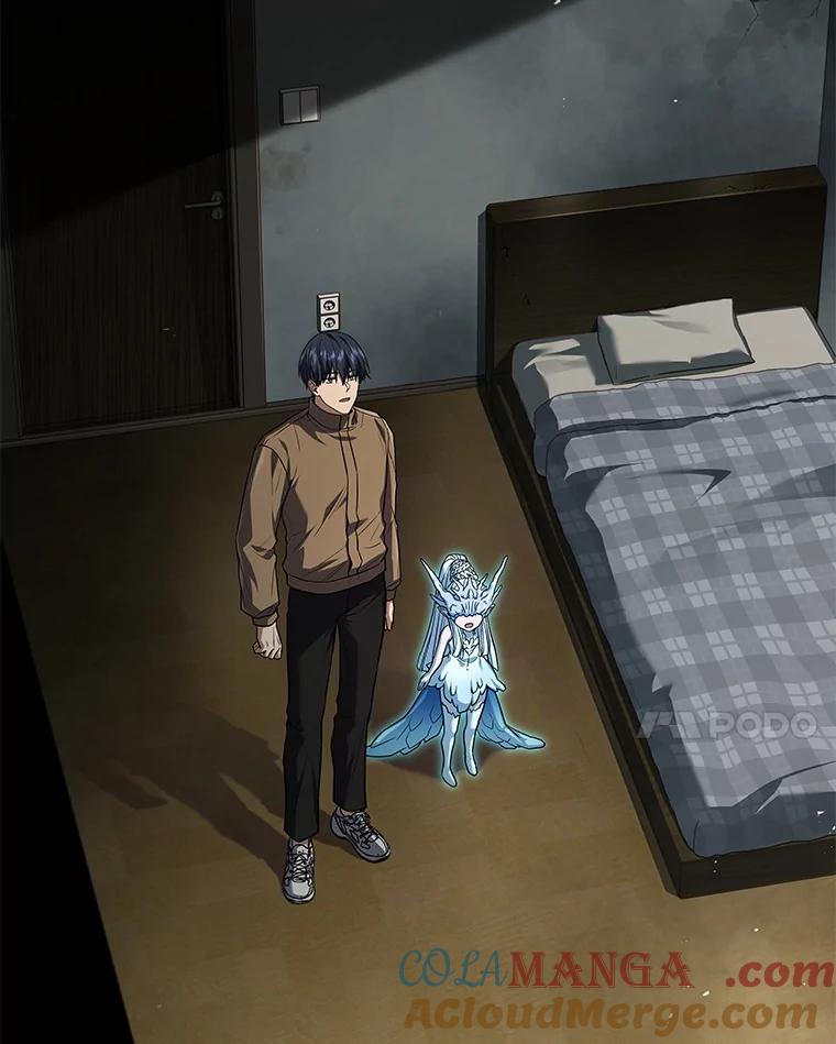 第117页