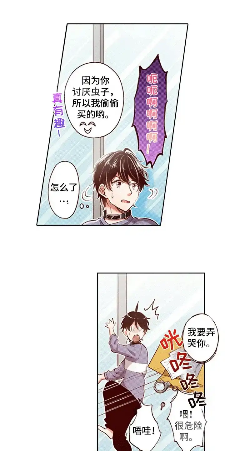 第17页