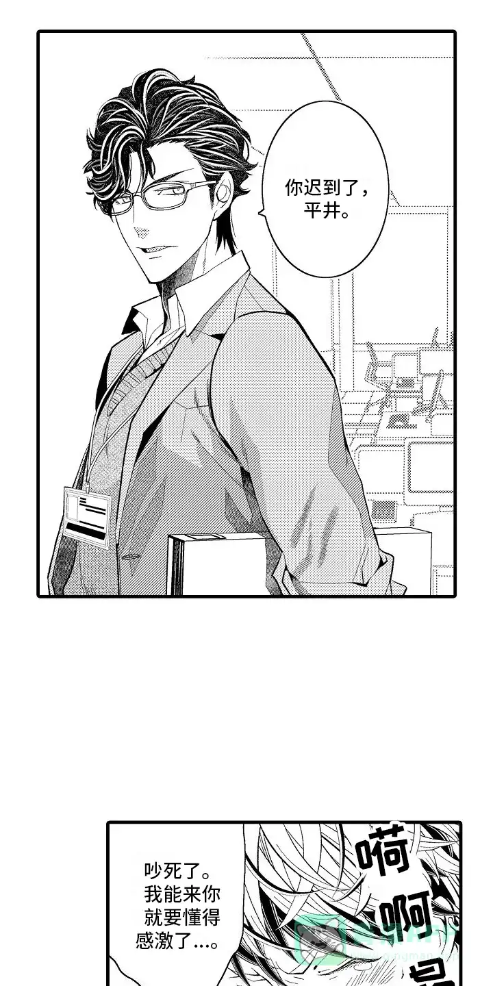第11页