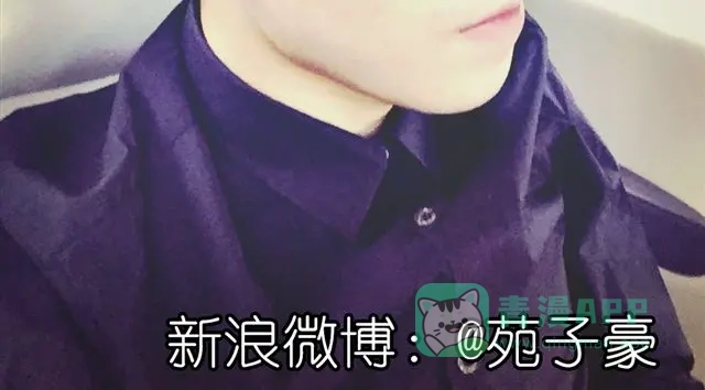 第41页