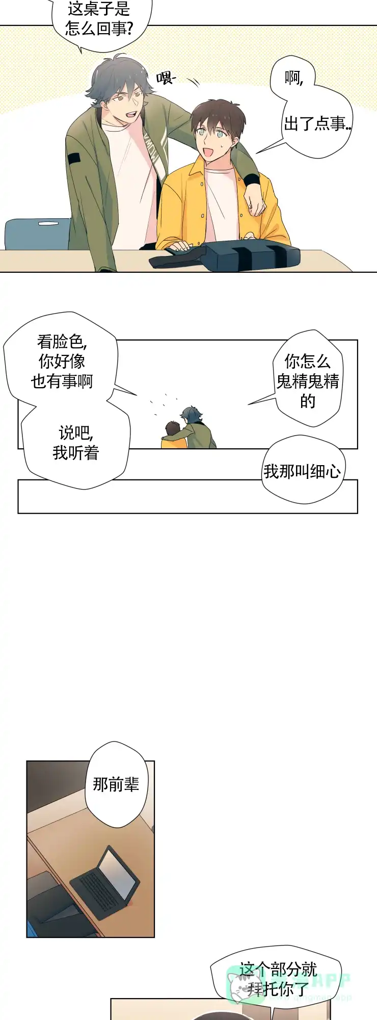 第6页