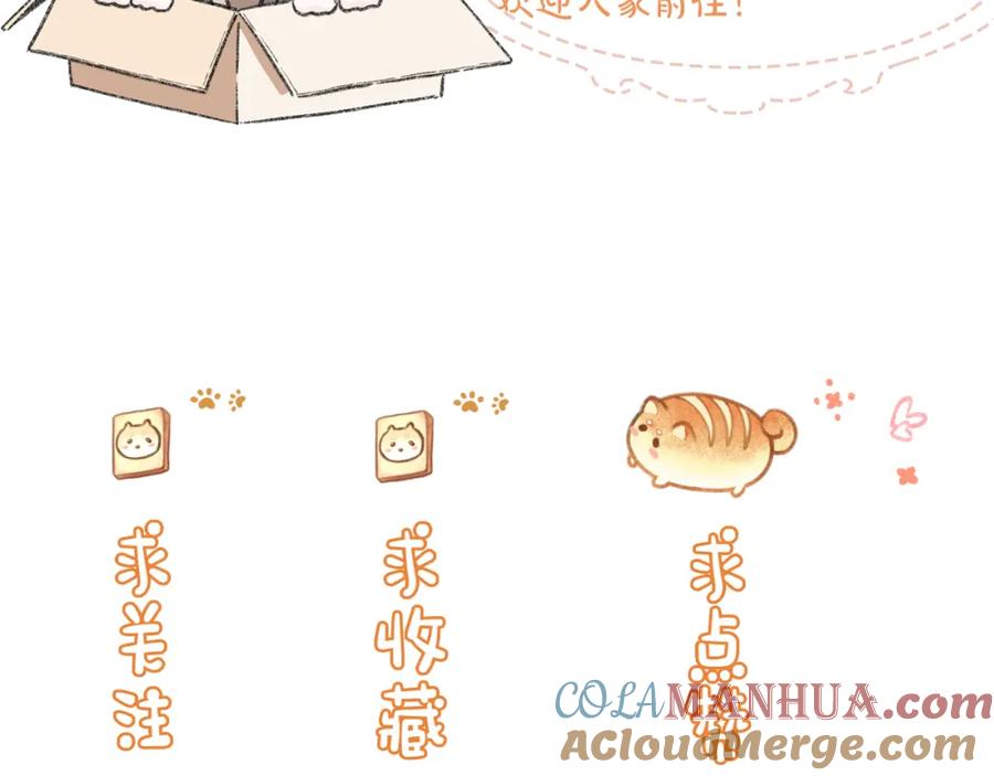 第217页