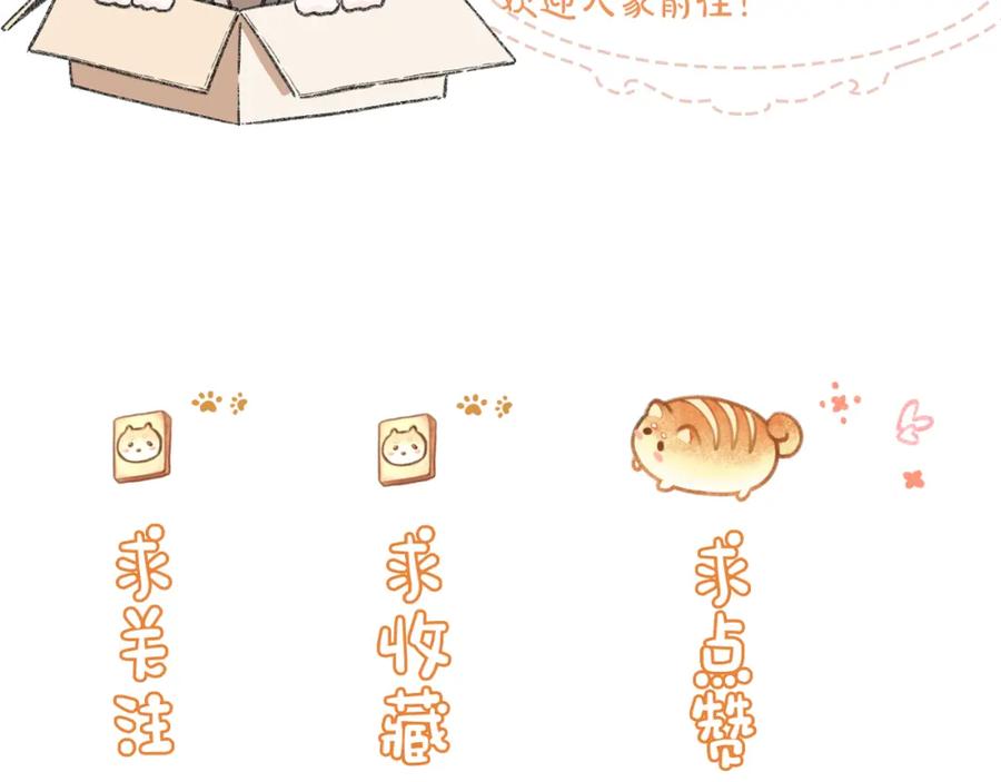第211页