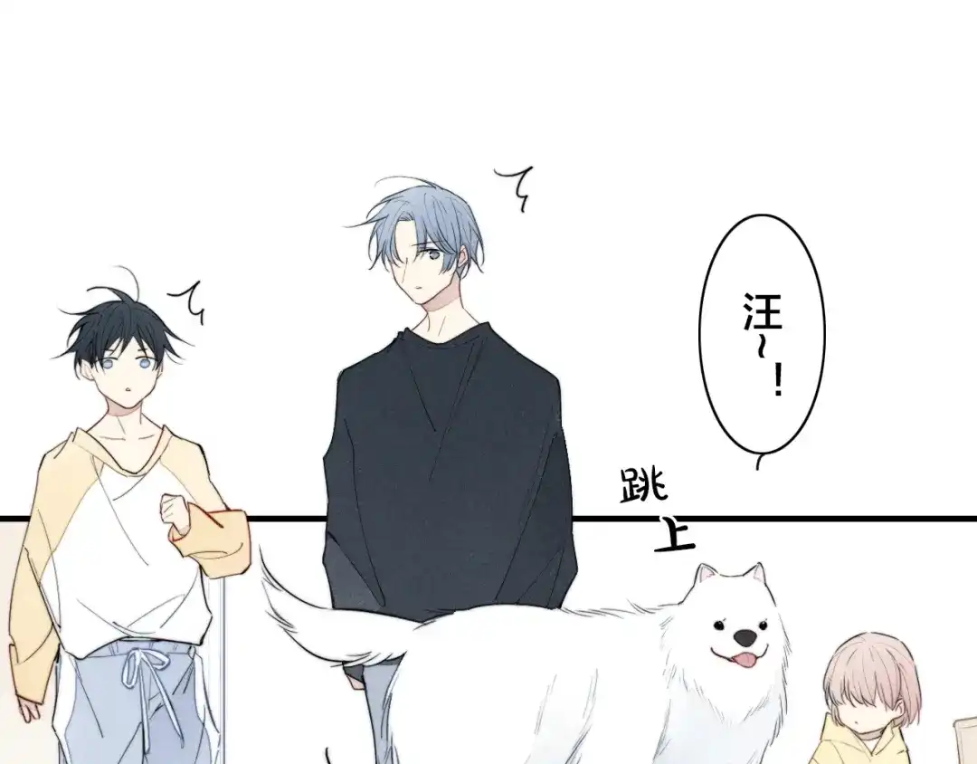 第54页