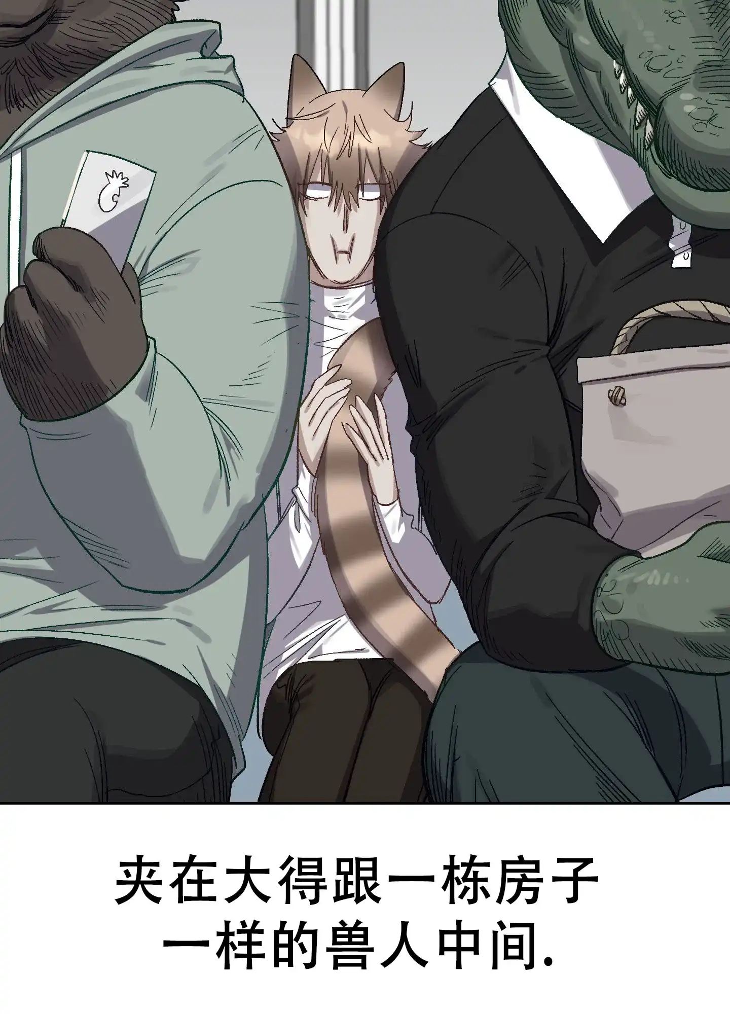 第43页
