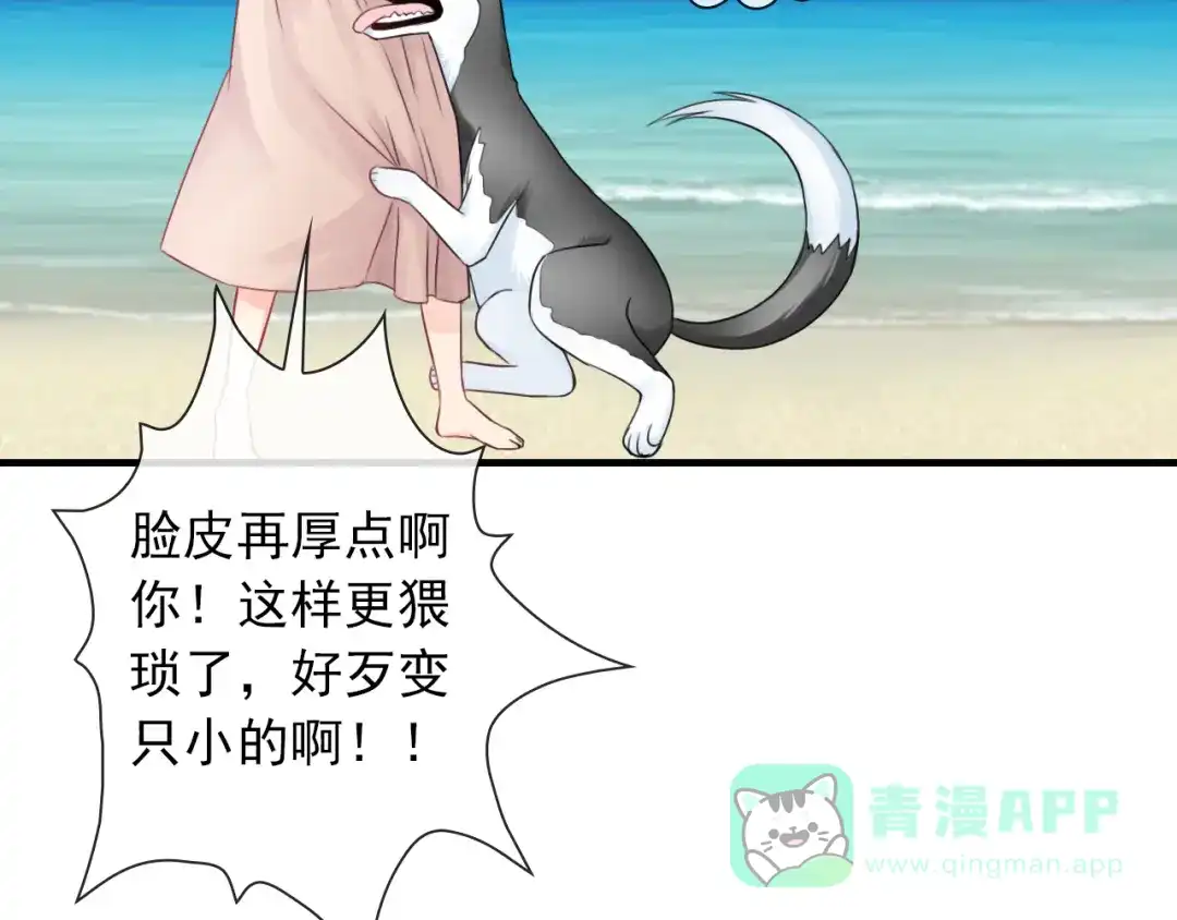 第141页