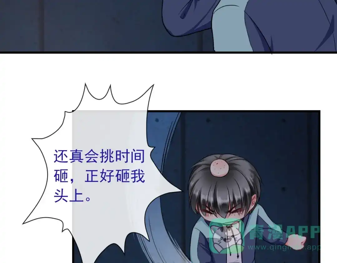 第101页