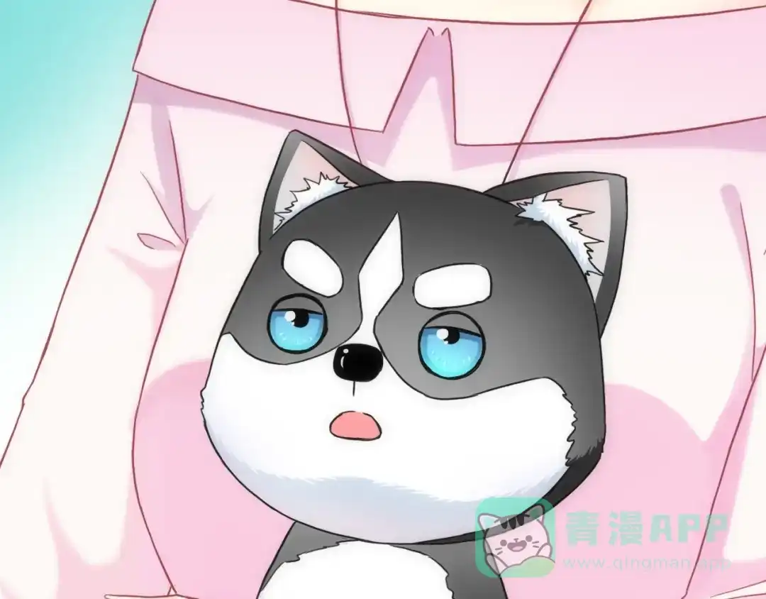 第96页