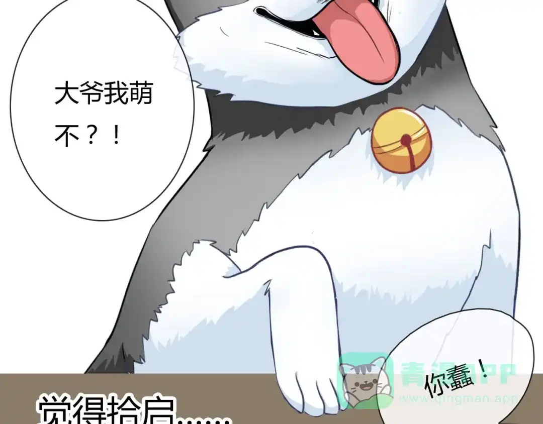 第126页