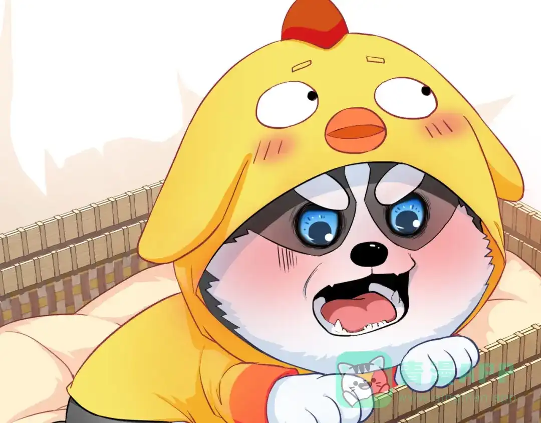 第91页
