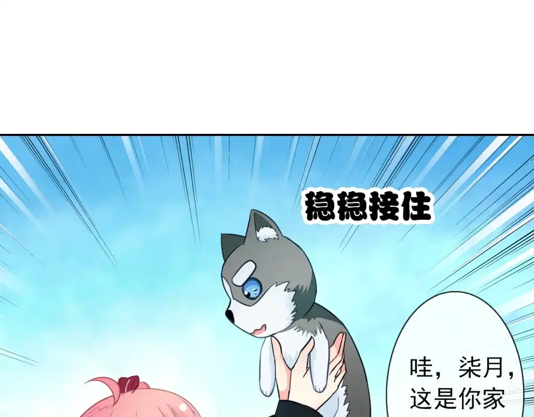 第84页