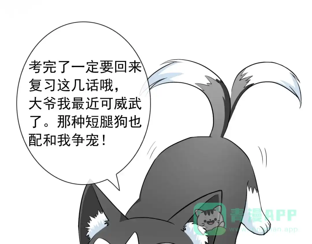 第81页