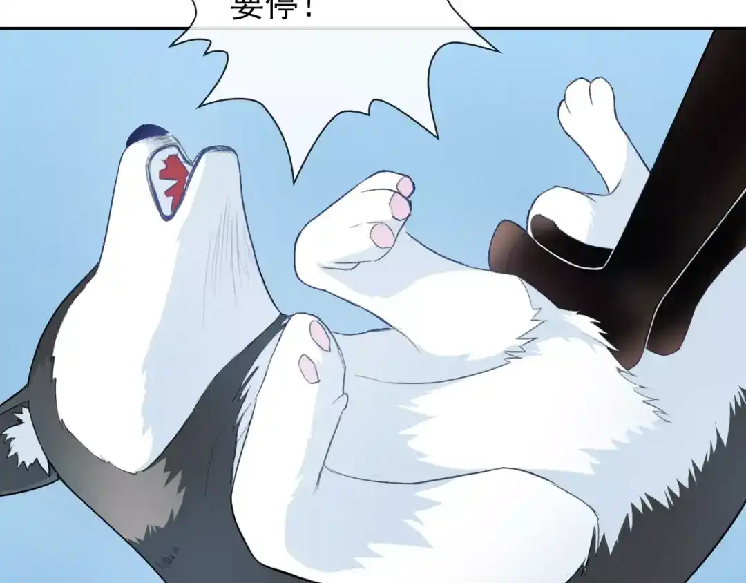 第118页