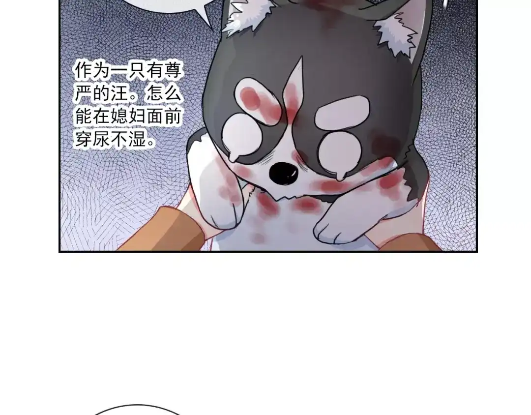 第80页