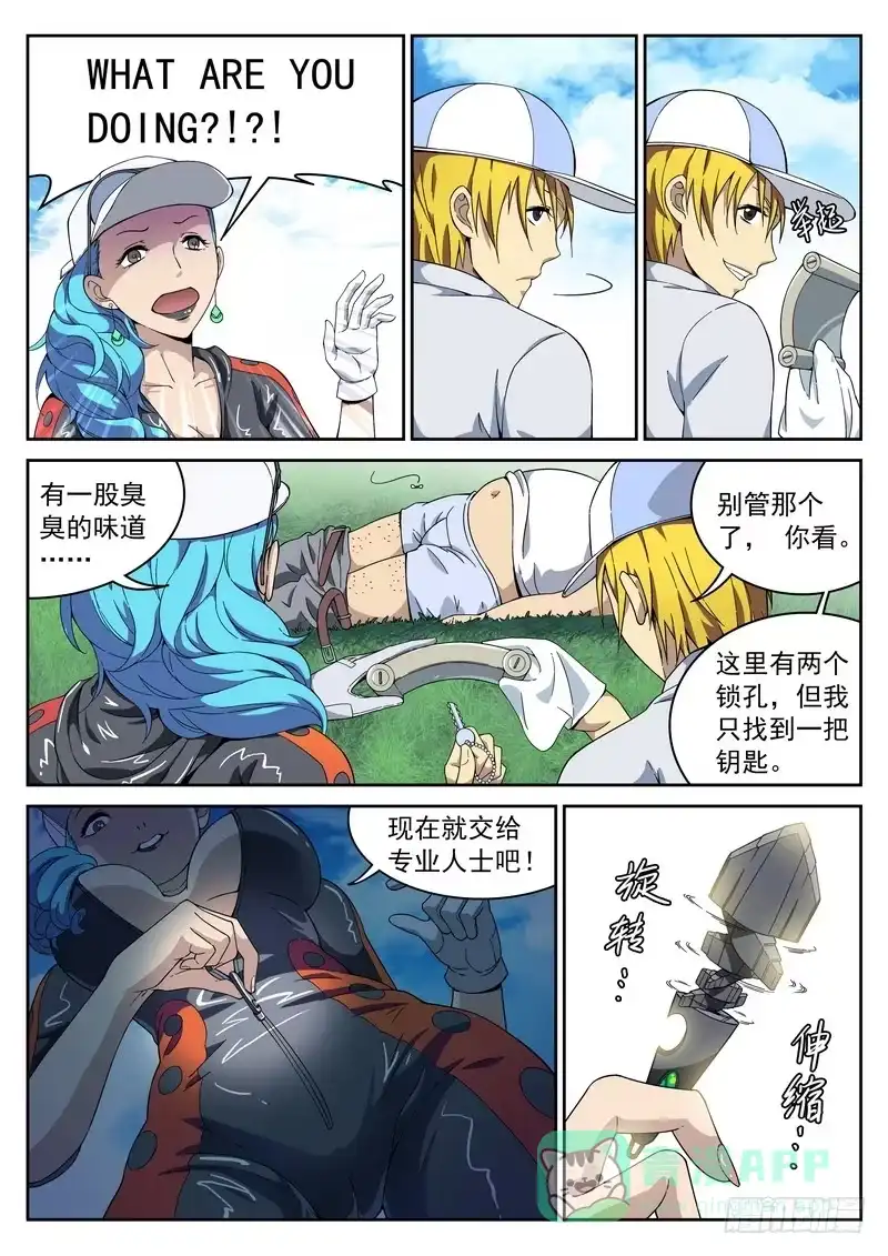 第6页