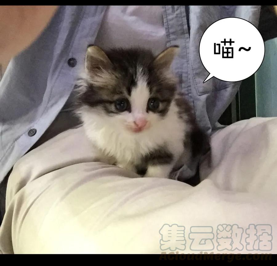 第141页
