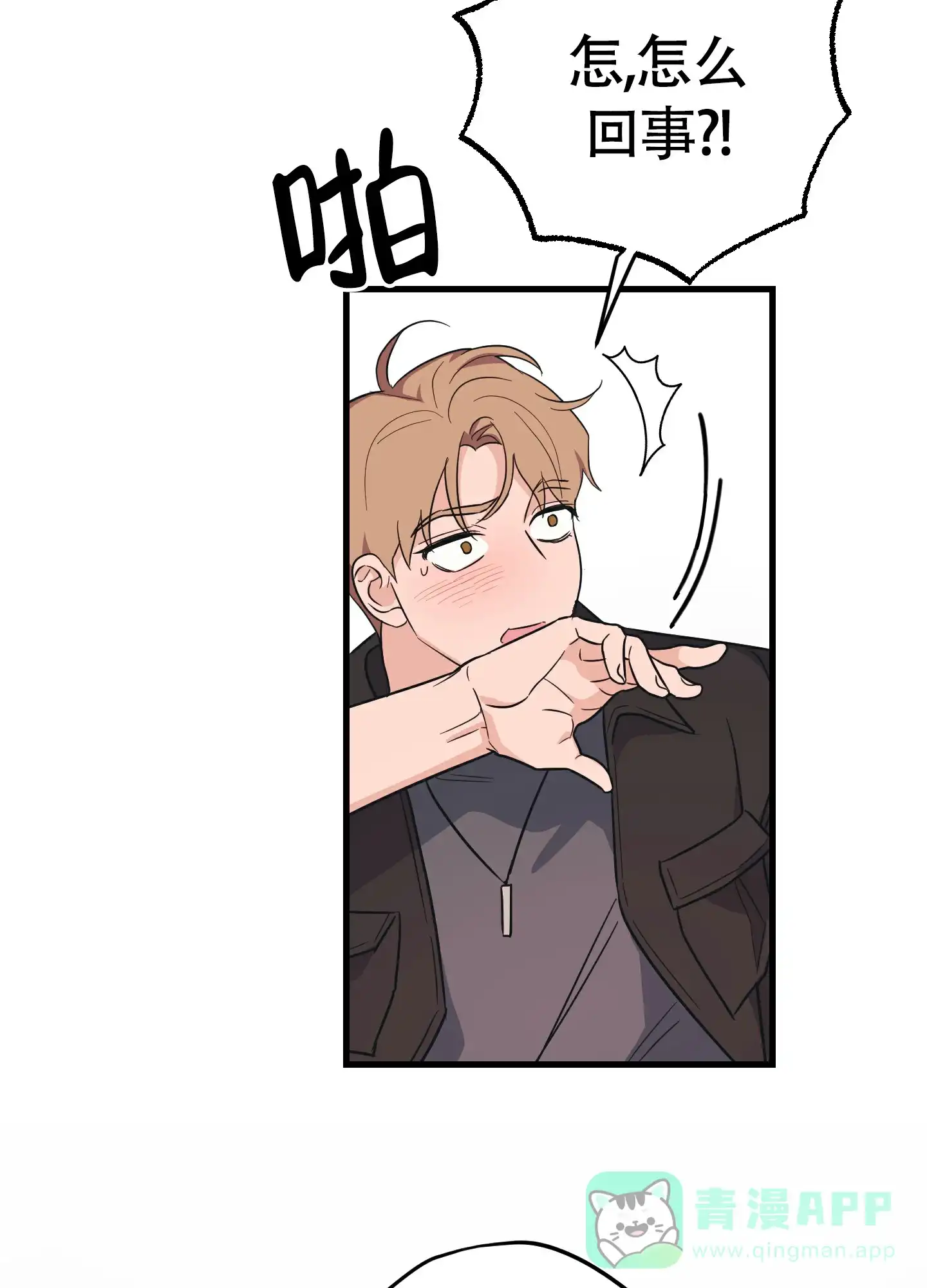 第41页