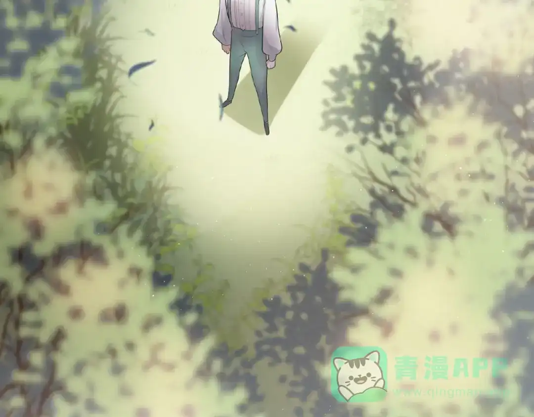 第181页