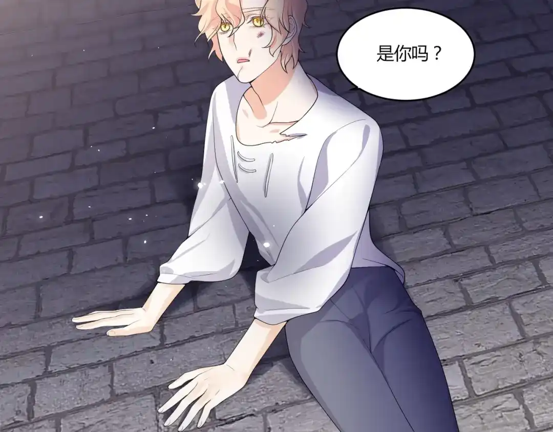 第207页