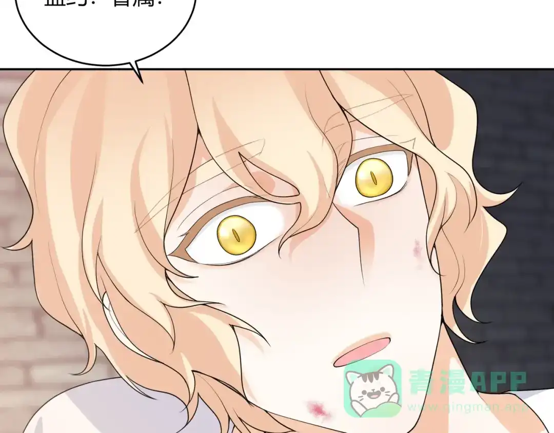 第211页