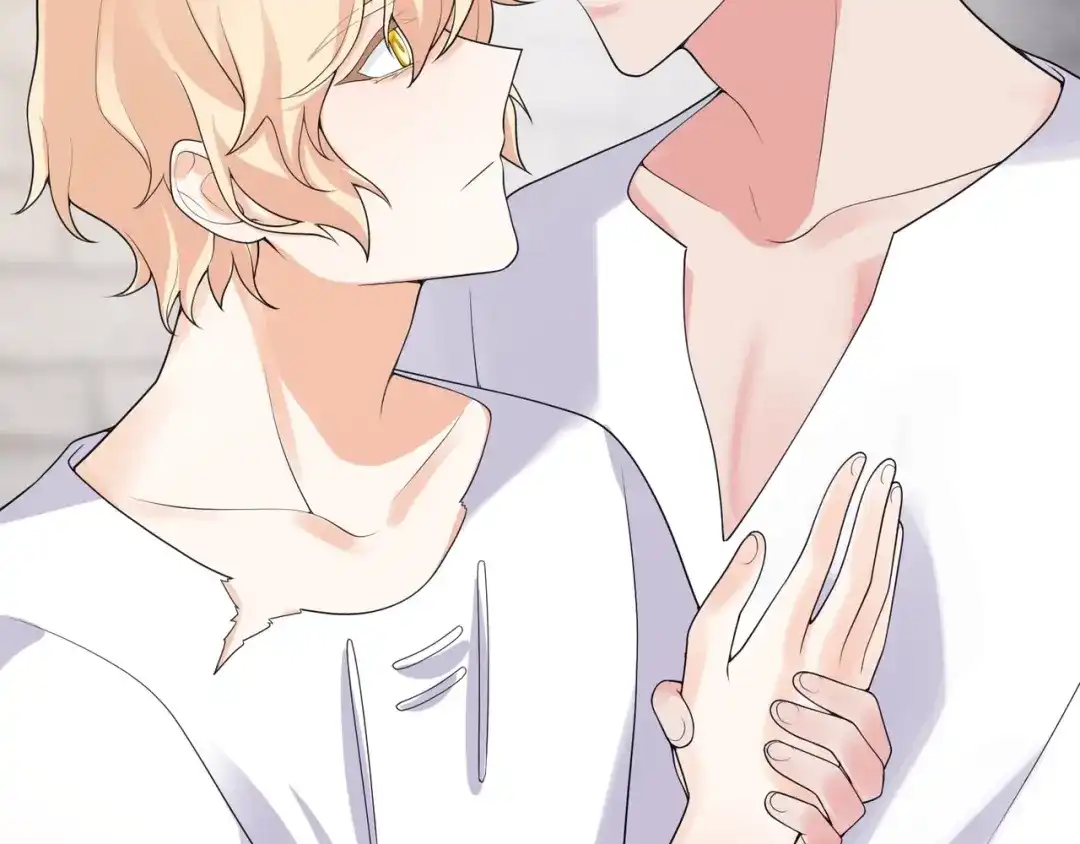 第233页