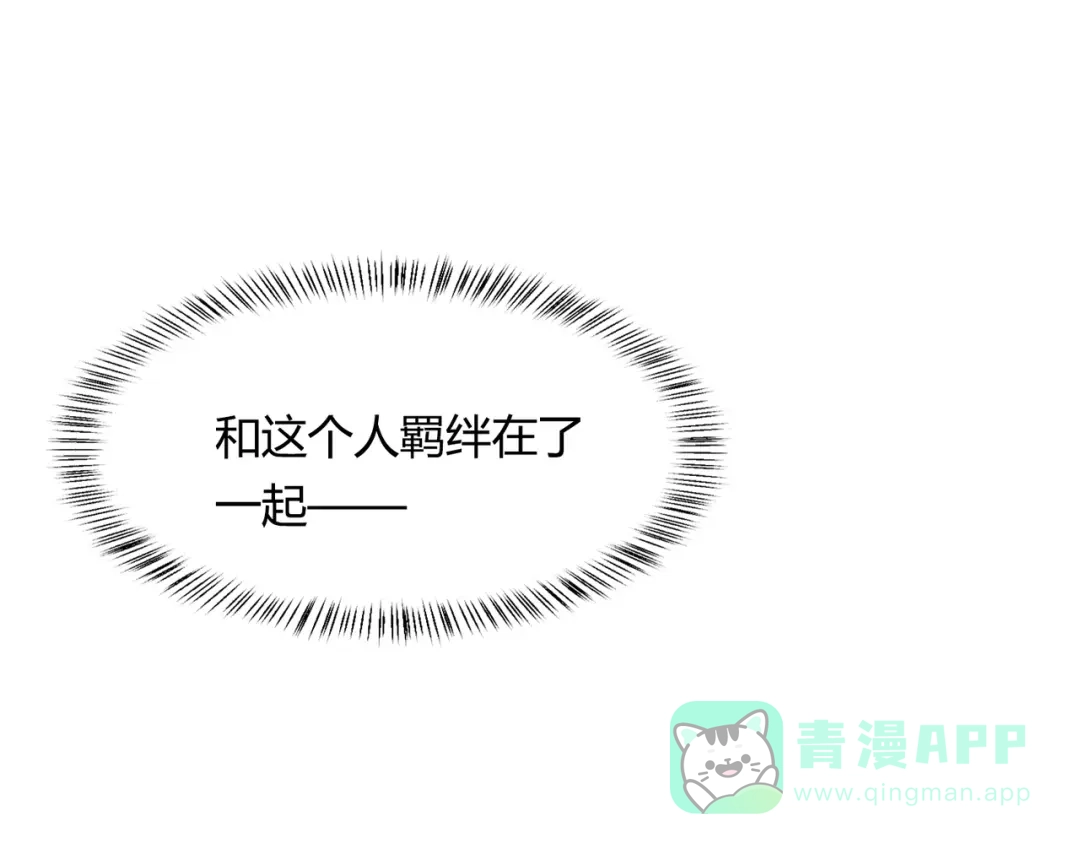 第291页