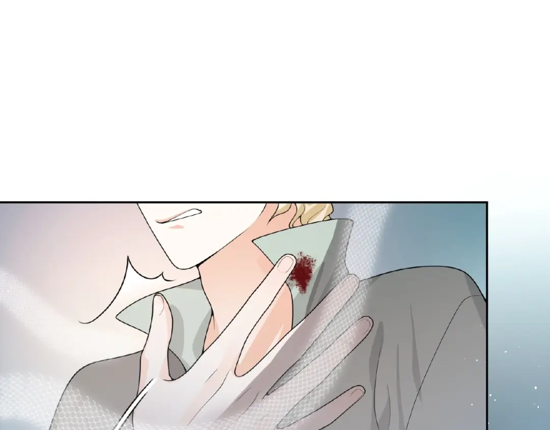 第176页