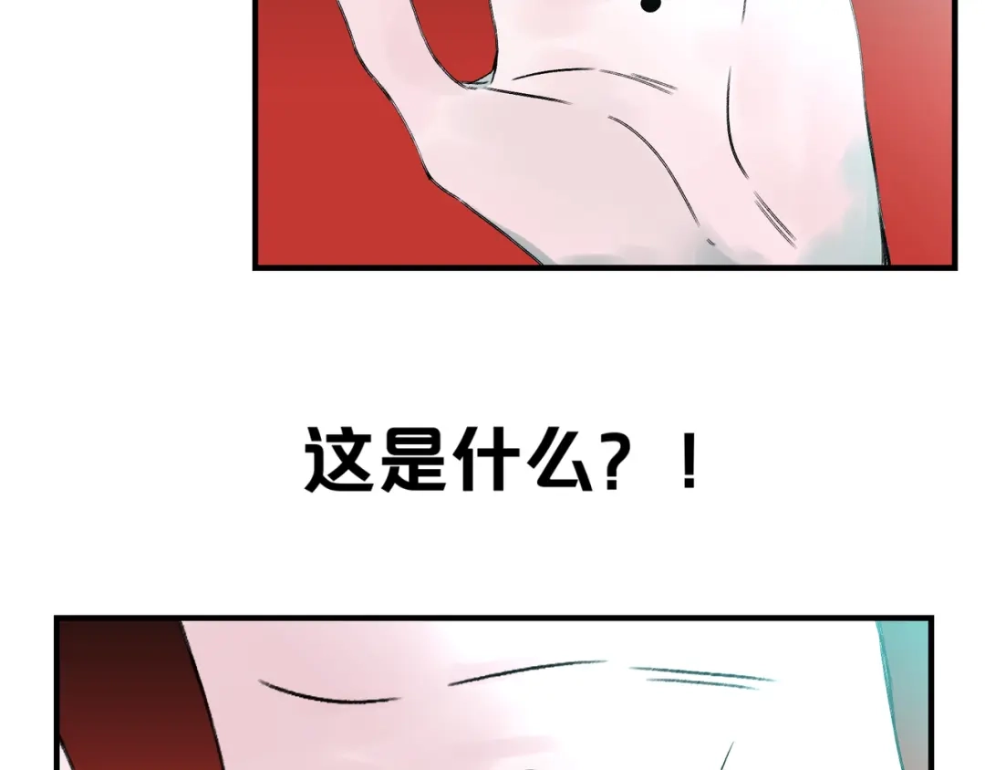 第215页