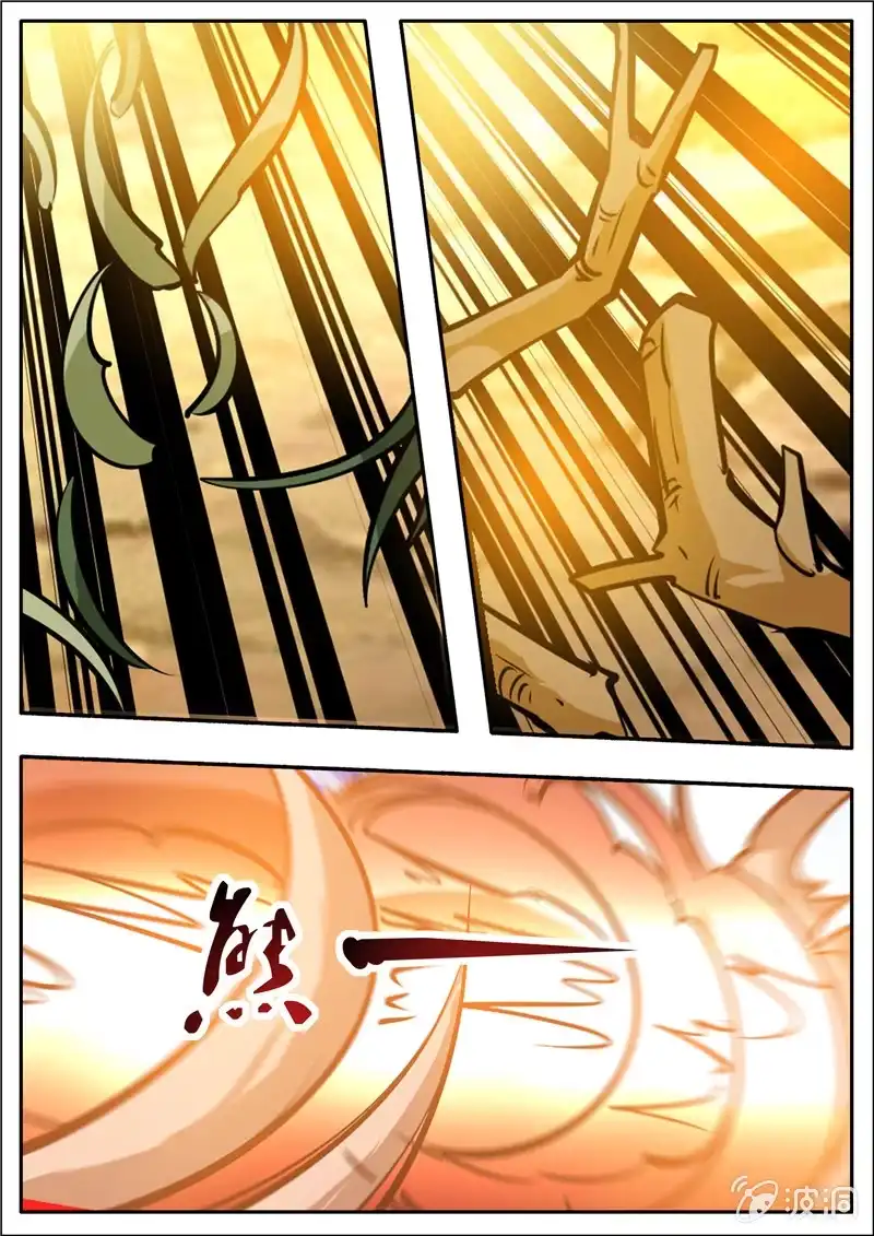第113页