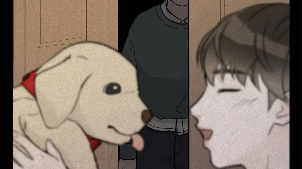 第48页