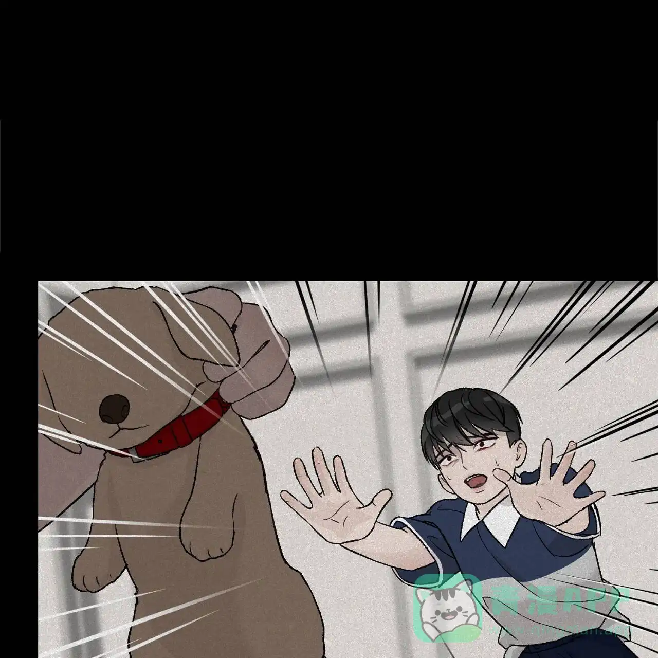 第51页