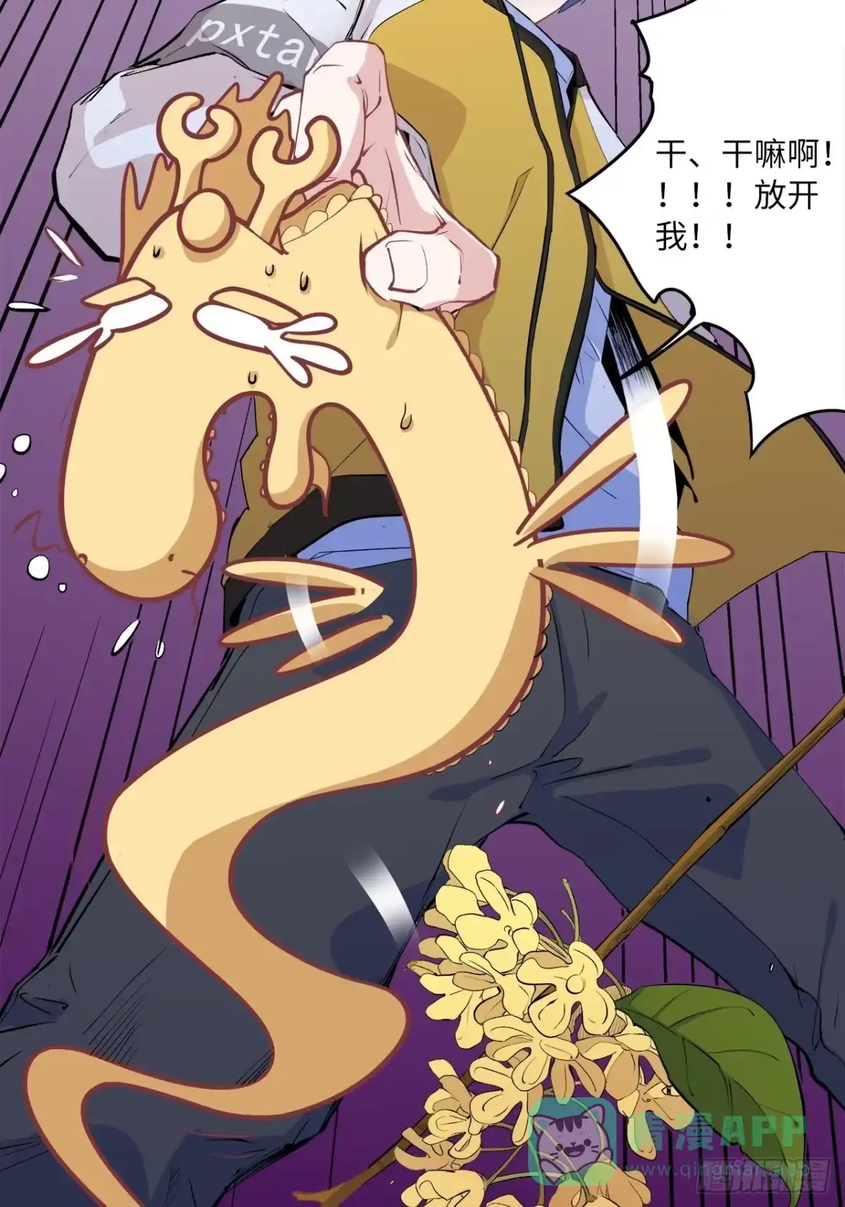 第56页