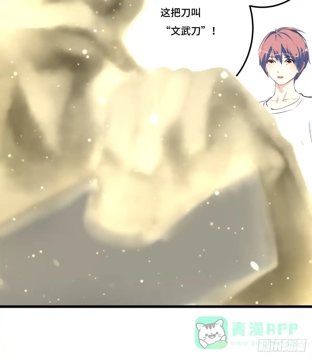 第101页