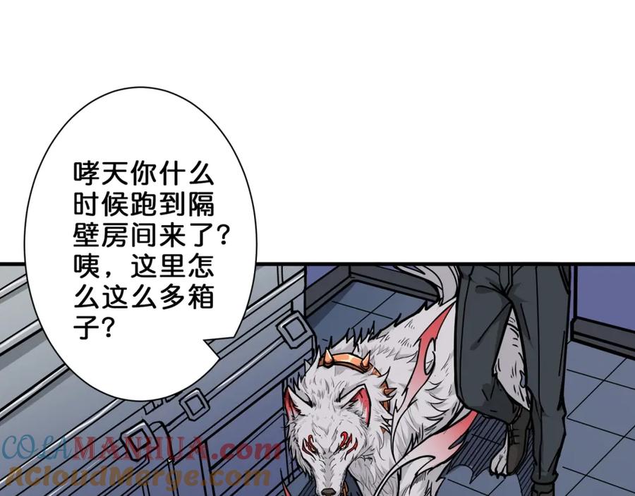 第41页