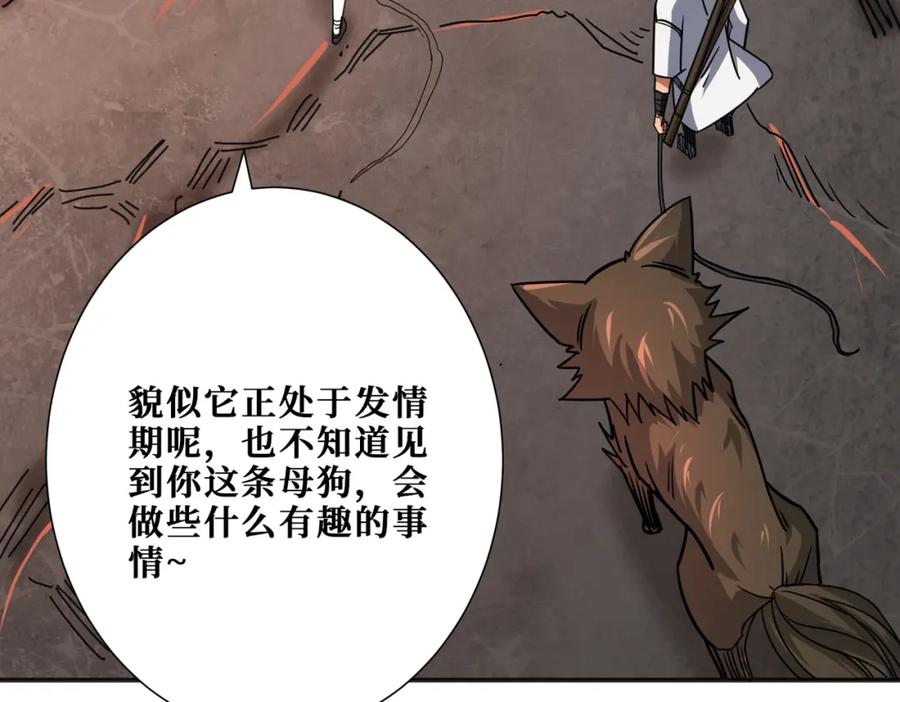 第146页