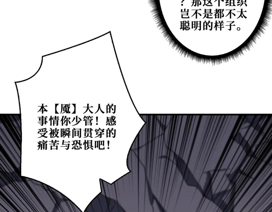 第223页
