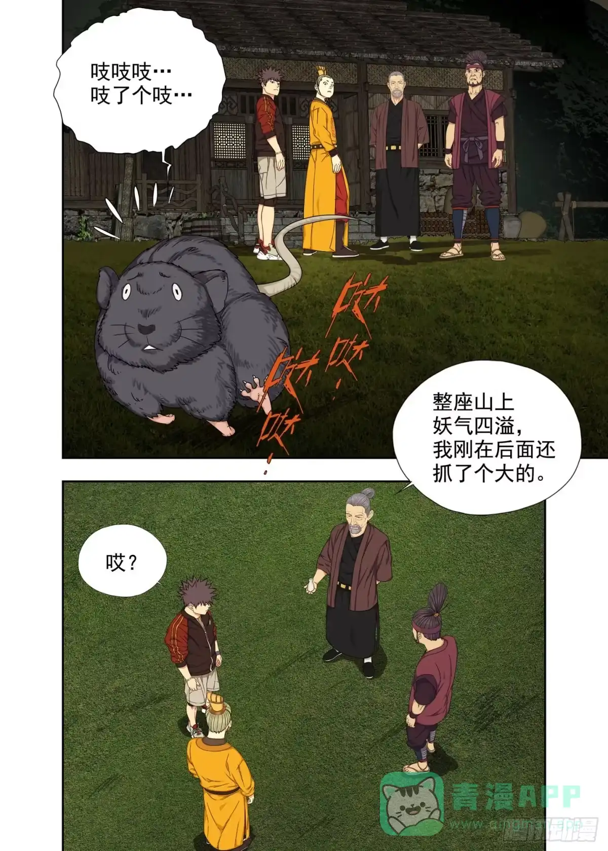第11页